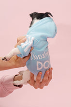 Load image into Gallery viewer, Vanderpump Dogs Blue Puppy Sweater