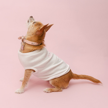 Load image into Gallery viewer, Vanderpump Dogs White Pet Tank Top