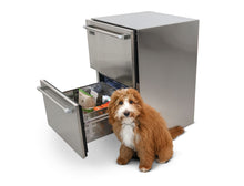 Load image into Gallery viewer, Perlick Dog Fridge