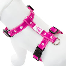 Load image into Gallery viewer, Paw Print Clasp Harness (PINK)