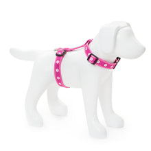 Load image into Gallery viewer, Paw Print Clasp Harness (PINK)