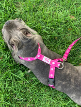 Load image into Gallery viewer, Paw Print Clasp Harness (PINK)