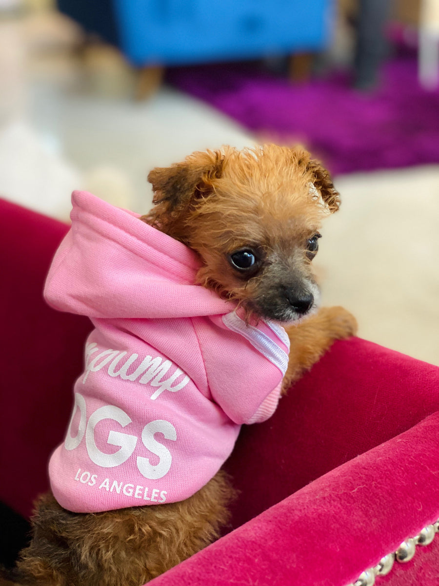 Pink adidas 2024 dog hoodie