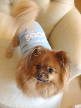 Load image into Gallery viewer, Vanderpump Dogs Blue Sweater