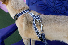 Load image into Gallery viewer, Paw Print Clasp Harness (BLACK)