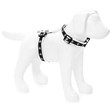 Load image into Gallery viewer, Paw Print Clasp Harness (BLACK)