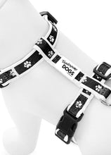 Load image into Gallery viewer, Paw Print Clasp Harness (BLACK)