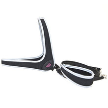 Load image into Gallery viewer, Step-in Mesh Harness (BLACK)