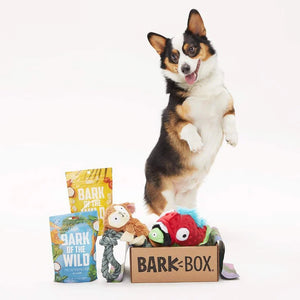 BarkBox $35 Gift Card for a 1-Month Subscripton