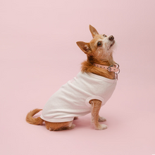 Load image into Gallery viewer, Vanderpump Dogs White Pet Tank Top
