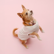 Load image into Gallery viewer, Vanderpump Dogs White Pet Tank Top
