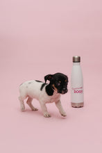 Load image into Gallery viewer, Vanderpump Dogs Water Bottle (WHITE)

