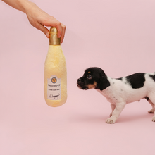 Load image into Gallery viewer, Char-Dog-Nay Plush Toy
