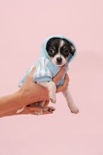 Load image into Gallery viewer, Vanderpump Dogs Blue Puppy Sweater
