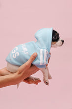Load image into Gallery viewer, Vanderpump Dogs Blue Puppy Sweater
