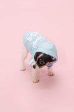 Load image into Gallery viewer, Vanderpump Dogs Blue Puppy Sweater
