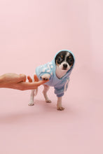 Load image into Gallery viewer, Vanderpump Dogs Blue Puppy Sweater
