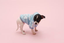 Load image into Gallery viewer, Vanderpump Dogs Blue Puppy Sweater
