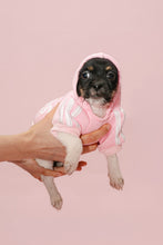 Load image into Gallery viewer, Vanderpump Dogs Pink Puppy Sweater
