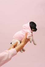 Load image into Gallery viewer, Vanderpump Dogs Pink Puppy Sweater
