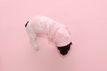 Load image into Gallery viewer, Vanderpump Dogs Pink Puppy Sweater
