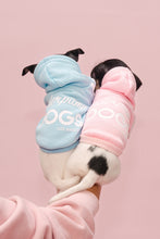 Load image into Gallery viewer, Vanderpump Dogs Blue Puppy Sweater
