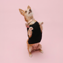 Load image into Gallery viewer, Vanderpump Dogs Black Pet Tank Top
