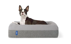 Casper Large Dog Bed