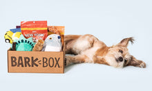 Load image into Gallery viewer, BarkBox $35 Gift Card for a 1-Month Subscripton
