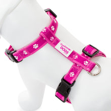 Load image into Gallery viewer, Paw Print Clasp Harness (PINK)
