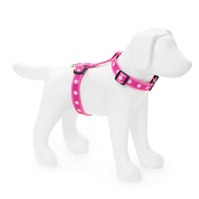 Load image into Gallery viewer, Paw Print Clasp Harness (PINK)
