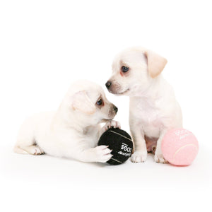 Vanderpump Dogs Tennis Ball Pink or Black