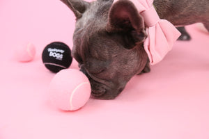 Vanderpump Dogs Tennis Ball Pink or Black