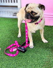 Load image into Gallery viewer, Vanderpump Dogs Leash - Pink
