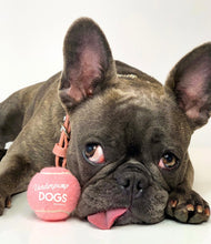 Load image into Gallery viewer, Vanderpump Dogs Tennis Ball Pink or Black
