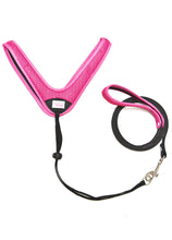 Load image into Gallery viewer, Nylon Matching Leash  (Black or Pink)

